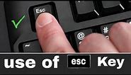 Use of Esc Key On Keyboard || Esc Key ka kya use hai