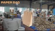 Eco Friendly Paper Bag Manufacturing Process with the help of Modern Machines