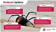 Redback Spider Bite
