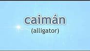How to Pronounce Alligator (Caimán) in Spanish