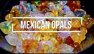 Mexican Opals - Finest Gems on Opal Auctions