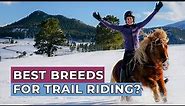 Best Horse Breeds For Trail Riding