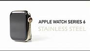 Apple Watch Series 6 Stainless Steel Gold - Milanese Loop