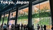 Largest Tokyo, Japan Apple Store Tour 2019