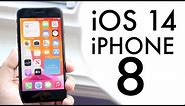 iOS 14 OFFICIAL On iPhone 8! (Review)