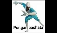 Pongan bachata