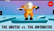 The Arctic vs. the Antarctic - Camille Seaman