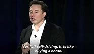 Elon Musk's Girlfriend Grimes' Bizarre Video About AI, Communism Leaves Internet Baffled