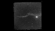 Ritchey104 NGC 6960 Veil North July 4 5 1910