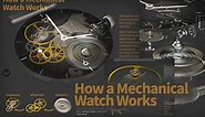 How a Mechanical Watch Works - Animagraffs