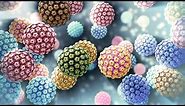 Human Papillomavirus | HPV | Nucleus Health