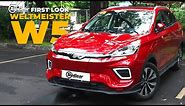 Weltmeister W5: Shocking new electric vehicle | Top Gear Philippines Features