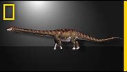 This Is the Biggest Dinosaur Ever Found | National Geographic