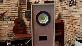 8 inches wood cone field coil fullrange speakers #6