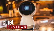 Jibo robot review