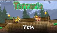 Terraria 1.4 | All Pets