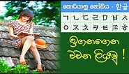 Learn Korean in Sinhala Lesson 01| Korean alphabet | Korean vowels:consonants Sinhala |කොරියන් හෝඩිය