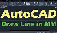 AutoCAD Draw Line in mm