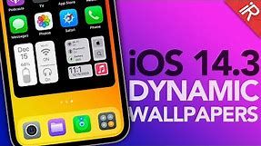 How To Set DYNAMIC iPhone Wallpapers on iOS 14.3 !