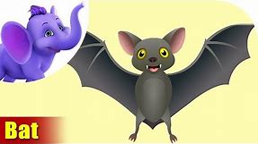 Bat Rhymes, Bat Animal Rhymes Videos for Children