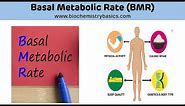 Basal Metabolic Rate (BMR) || Basal Metabolic Rate Biochemistry