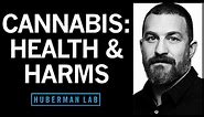 The Effects of Cannabis (Marijuana) on the Brain & Body | Huberman Lab Podcast #92