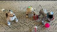 Aibo ERS-1000, 111 and 311 Play Together