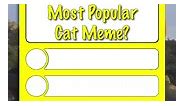 Top 4 Cat Memes of all time