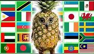 Pineapple Owl in 70 Languages Meme