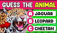 Guess the Animal Quiz | Can You Name the Animals? | Animal Quiz Guessing Game