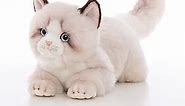 CU-MATE 20 Inch- Gray Ragdoll Cat Plush Stuffed Animal Toys -Realistic Ann Baker Cat Handmade Plush Toy Present Gift