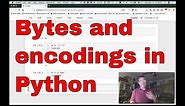 Bytes and encodings in Python