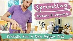 Sprouting Lentils, Grains And Beans: Protein For A Raw Vegan Diet