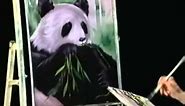 Bob Ross: Wildlife Painting with Bea Cox - Giant Panda