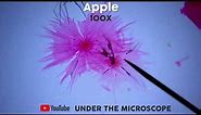 Apple - Under The Microscope [1000x]
