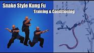 Snake Style Kung Fu - Training, Conditioning, and Secrets