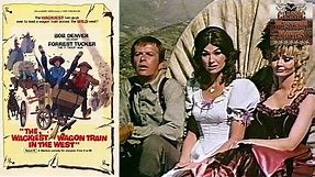 The Wackiest Wagon Train in the West | 1976 Comedy Western