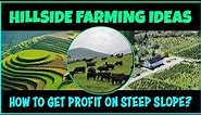 Farming on Steep Slope Hillsides | Agriculture on Mountains | Terrace Farming