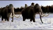 Ice Age Opening style Walking With Beasts