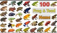 Frog & Toad Vocabulary ll 100 Frog & Toads Name In English With Pictures ll Type of Frogs & Toads
