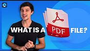 What is a PDF File? [Explore the details of PDF]
