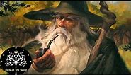 Gandalf the Grey & White - Epic Character History