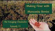 How to Use Manzanita Berries [A Common High Desert Shrub]