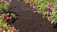 Permanent Mulch Recycled Rubber Pathway | Plow & Hearth