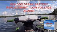Sea Doo Spark Low Voltage Alarm! How To Replace Battery and Newbie on Trixx!