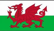 Origins of the Flag of Wales