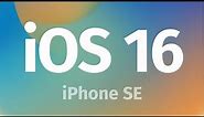 How to Update iPhone SE to iOS 16