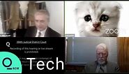 'I'm Not a Cat:' Filter Turns Texas Attorney Into a Cat During Zoom Hearing