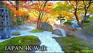 【4K】Japan Walking Tour - Autumn Leaves in the Beautiful Japanese Garden