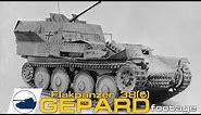Rare WW2 Flakpanzer 38(t) Gepard auf Selbstfahrlafette 38(t) Ausf.M footage
